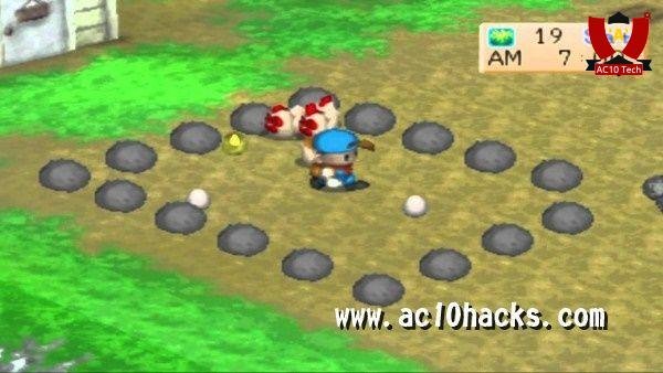 Cara dan kode Cheat Harvest Moon BTN
