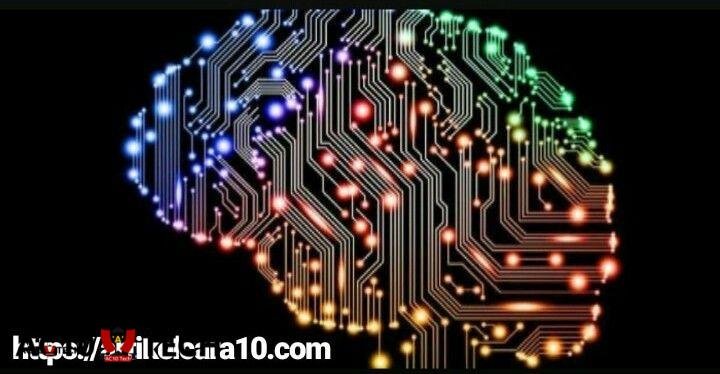 belajar bahasa programer online