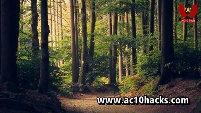 200+ Caption IG Aesthetic Singkat Kekinian (ID EN) 2026 5 Caption Aesthetic Untuk Posting Instagram