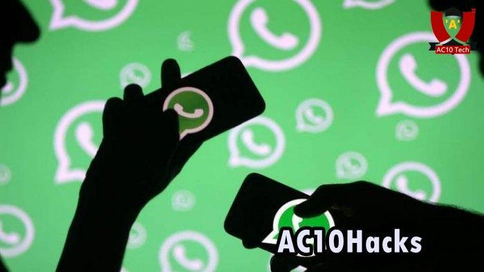 WA Virtex Copy Paste 2026