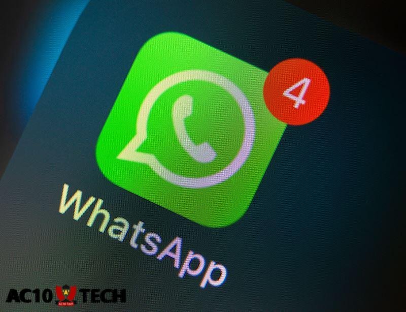 Nomor WA Cewek Terbaru 2026 Gratis! VCS Gratis Sekarang