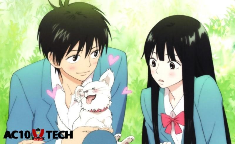 9 Komik Anime Wik Wik (Wik2) untuk Dewasa 18+ 2026 5 Kimi ni Todoke komik wik wik