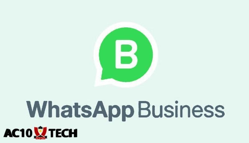 Download WhatsApp App Business