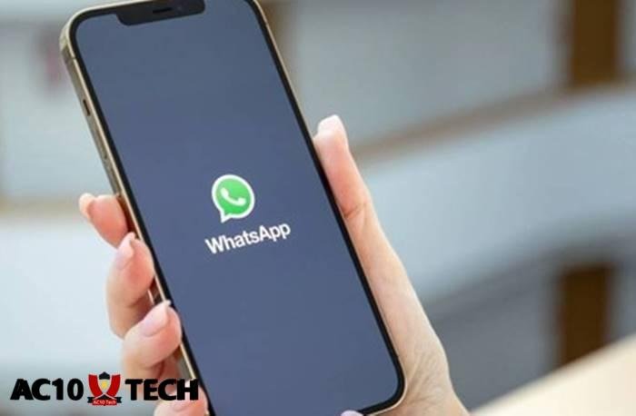 Cara Membisukan Telepon WA Satu dan Semua Kontak